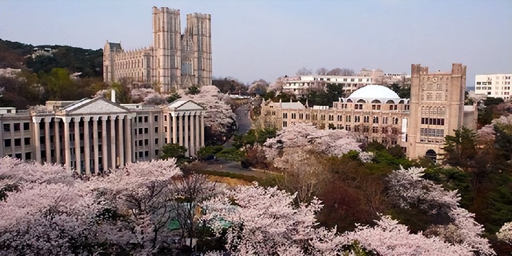 TOPIK考点取消了，没有韩语成绩怎么入学？