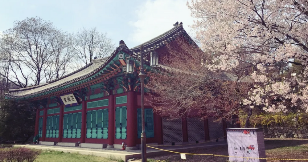 韩国留学本科最低条件是什么？没参加高考的可以申请吗？